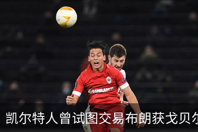 凯尔特人曾试图交易布朗获戈贝尔 但遭森林狼拒绝