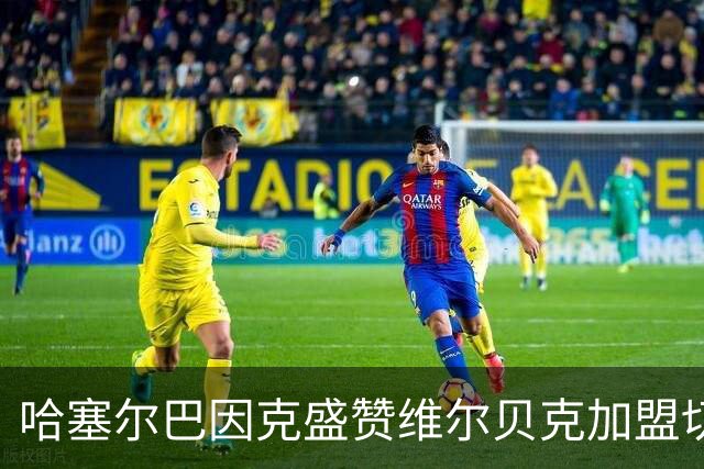 哈塞尔巴因克盛赞维尔贝克加盟切尔西是明智之举